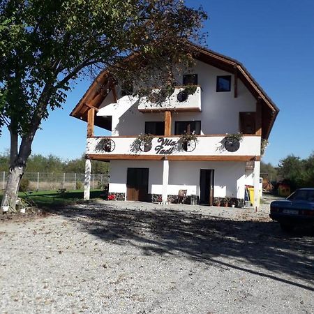 Vila Tadi Villa Avrig Exterior foto